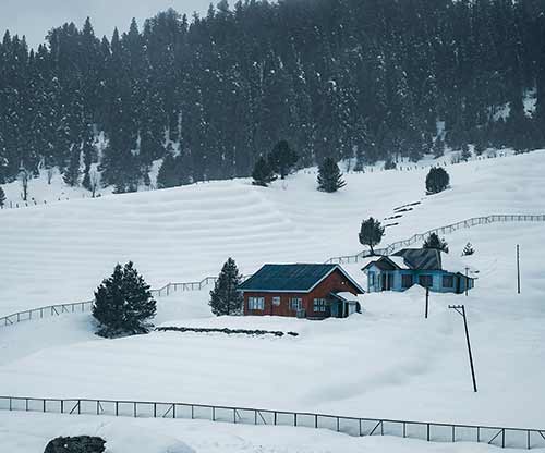 Haryana Schools Announce Winter Break from January 1-15, 2025